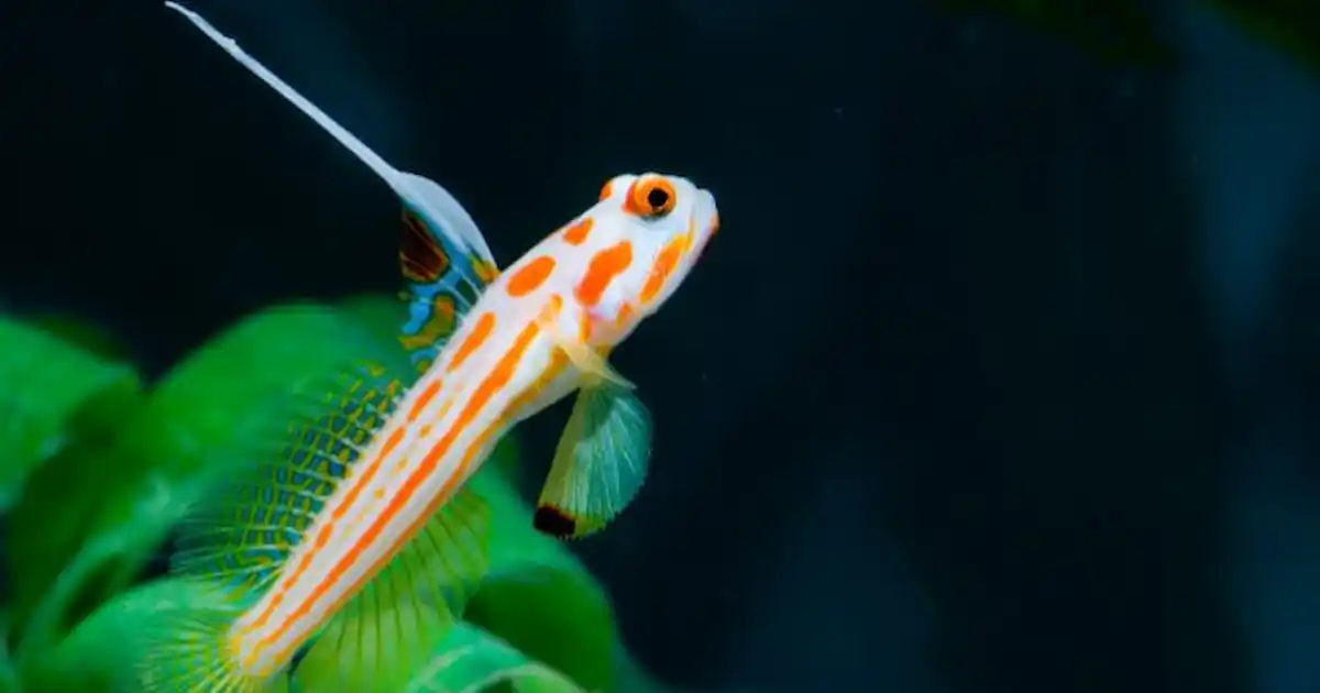 Juftlik jinsiy aloqa haqida YouTube video Hammom porno videolarini yashirin suratga olish