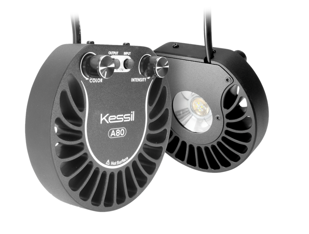 On test: Kessil A80 LED Luminaire - Practical Fishkeeping