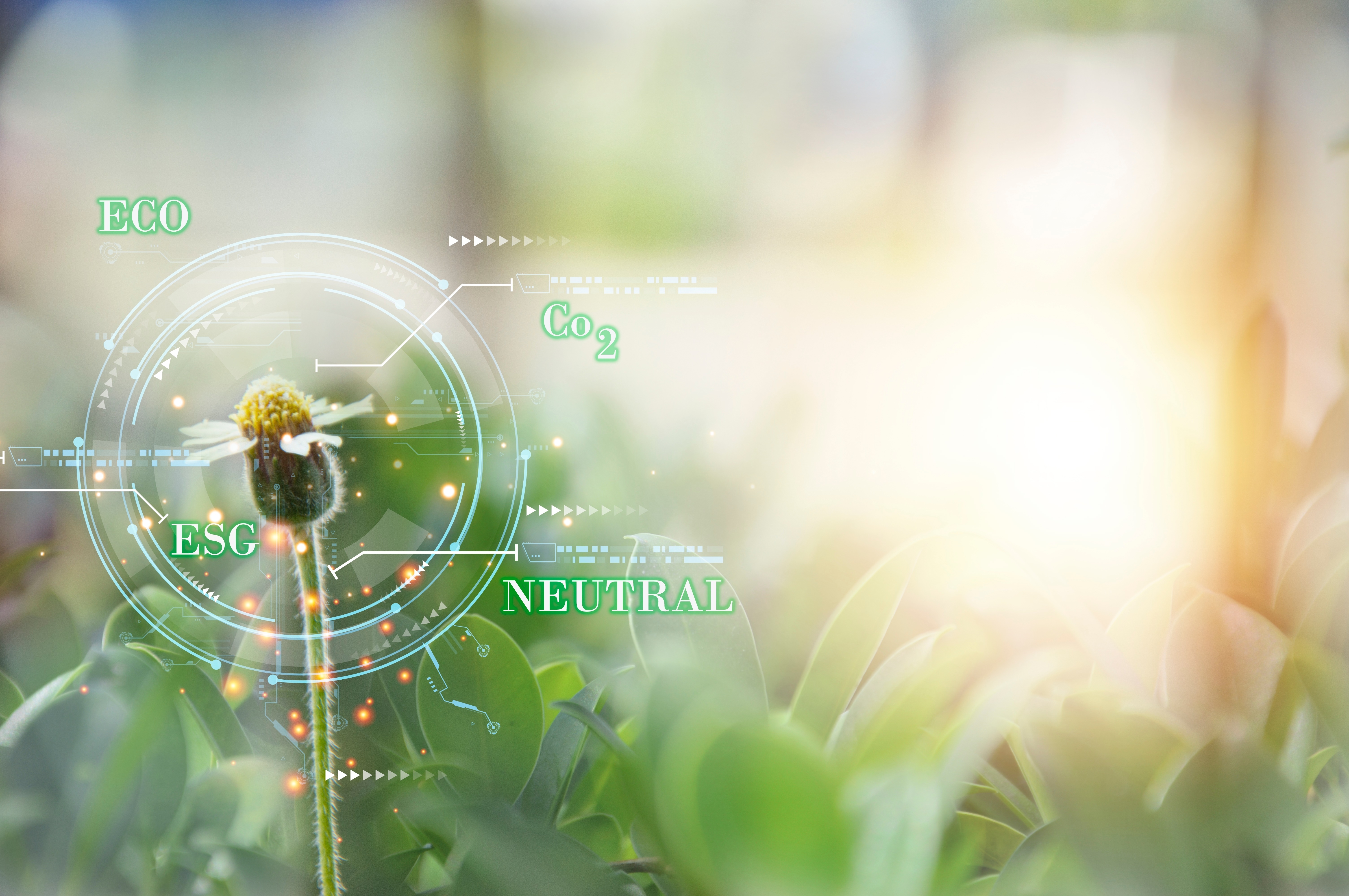 Retrofit and decarbonisation for social homes and public sector buildings