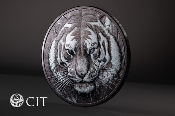 Black and White Tiger