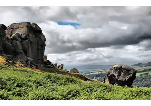 1280px-Cowcalf-10891.jpg 1280px-Cowcalf-10891.jpg