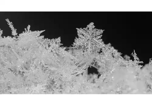 23917309952_557498d9a4_o-05975.jpg 23917309952_557498d9a4_o-05975.jpg