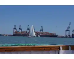 31-90873.png 31-90873.png