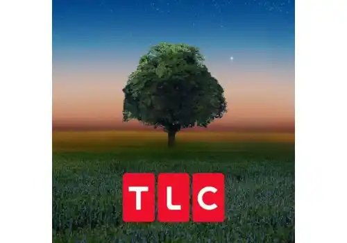 406e2ec8-15c3-459f-a34f-86812d569724-51768.jpg 406e2ec8-15c3-459f-a34f-86812d569724-51768.jpg