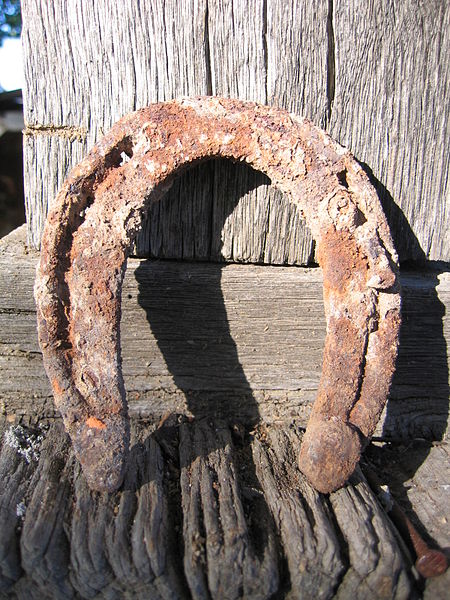450px-Old_Horseshoe-92167.jpg