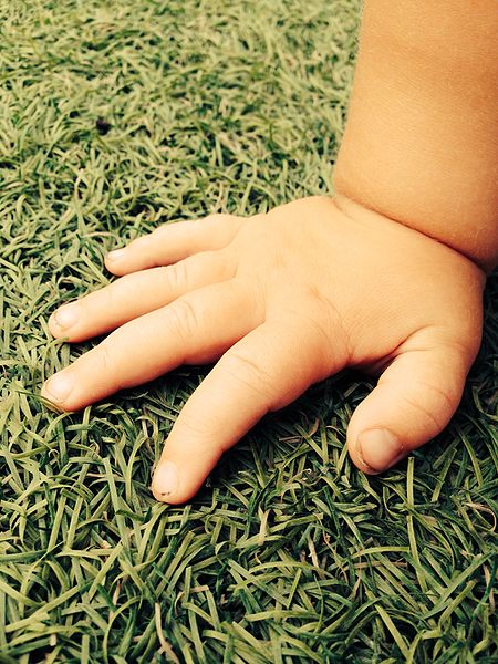 Baby_hand_on_grass-40174.jpg