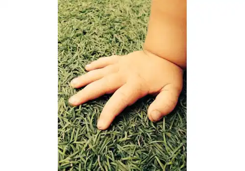 Baby_hand_on_grass-40174.jpg Baby_hand_on_grass-40174.jpg