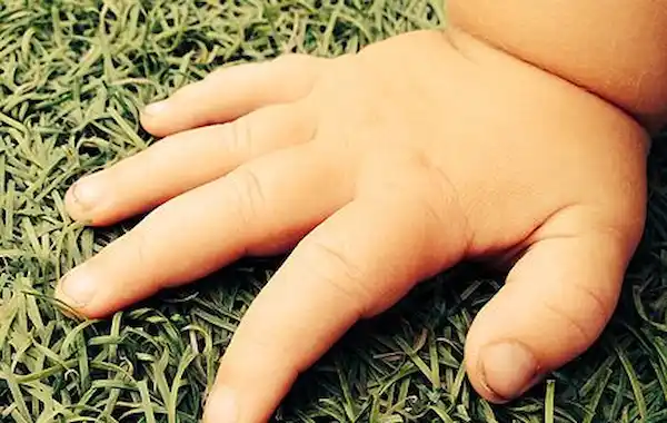 Baby_hand_on_grass-40174.jpg Baby_hand_on_grass-40174.jpg