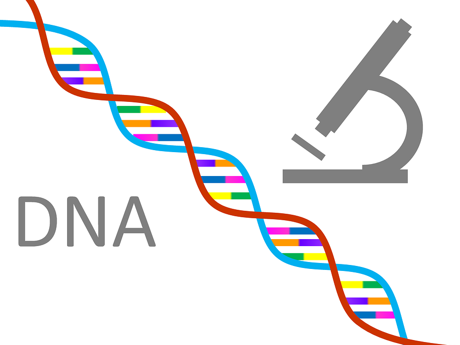 DNA-07749.png