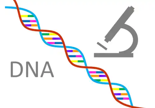 DNA-07749.png DNA-07749.png