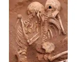 DSC_0589-426x445-44951.jpg DSC_0589-426x445-44951.jpg