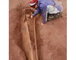 DSC_0623-426x445-39033.jpg DSC_0623-426x445-39033.jpg