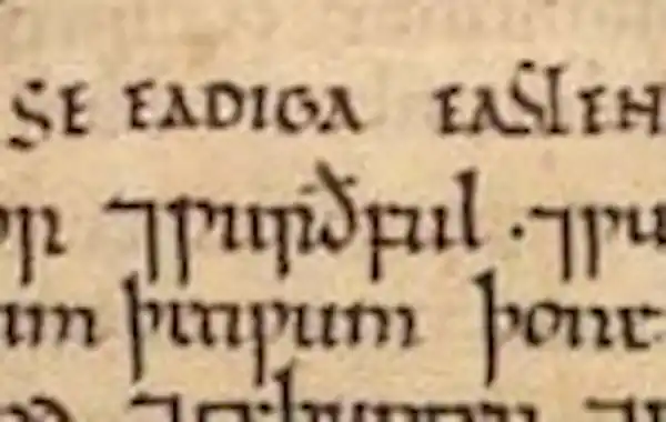 Eadmund-ms-88350.jpg Eadmund-ms-88350.jpg