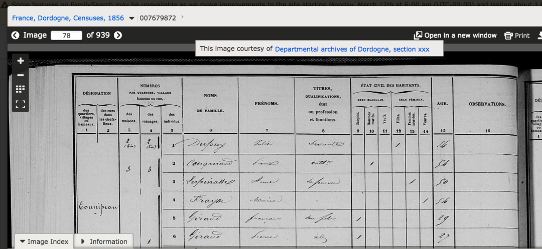 Example-of-a-census-page-of-1856-91196.png