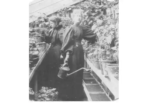 Georgie-and-Evie---photo-74257.jpg Georgie-and-Evie---photo-74257.jpg