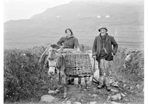 Irish-family-history-13459.png Irish-family-history-13459.png