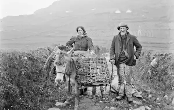Irish-family-history-13459.png Irish-family-history-13459.png