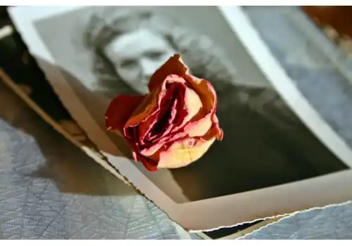 Monday-pic-memory-2021124_1920-24202.jpg Monday-pic-memory-2021124_1920-24202.jpg