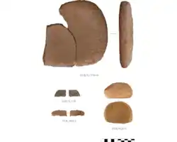 Nicky-Neilson1-05289.jpg Nicky-Neilson1-05289.jpg