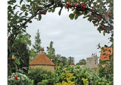 Pixabay-Oxfordshire-27450.jpg Pixabay-Oxfordshire-27450.jpg