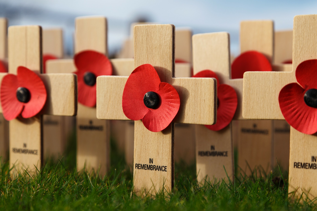 Remembrance-poppy-59369.jpg
