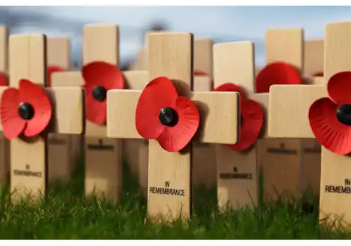 Remembrance-poppy-59369.jpg Remembrance-poppy-59369.jpg