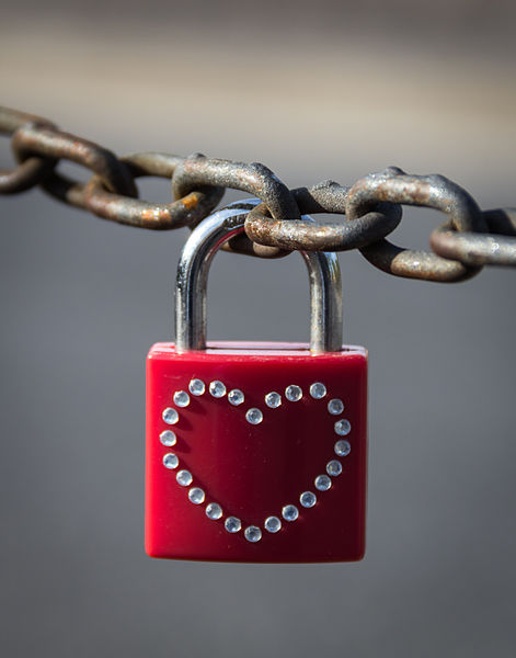 Rome_(Italy),_Padlock_at_Ponte_Palatino_--_2013_--_3-24072.jpg