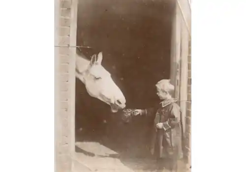 Sarah-Reay-Family-Tree-magazine-1-60257.jpg Sarah-Reay-Family-Tree-magazine-1-60257.jpg