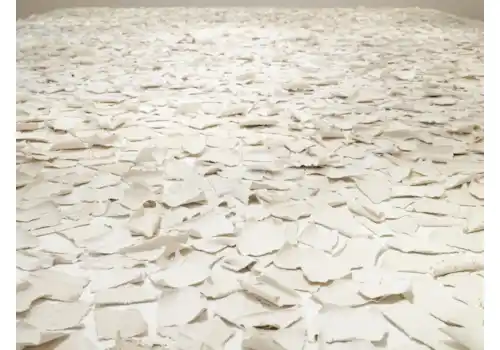 Sm9kaWUgQ2FyZXksIGRldGFpbCBvZiBTZWEsIDIwMTggwqkgSm9kaWUgQ2FyZXkuIFBob3RvIFBldGVyIE1hbGxldCBQaG90b2dyYXBoeSAtIDEgKExvdyByZXMpLmpwZw==-68508.jpg Sm9kaWUgQ2FyZXksIGRldGFpbCBvZiBTZWEsIDIwMTggwqkgSm9kaWUgQ2FyZXkuIFBob3RvIFBldGVyIE1hbGxldCBQaG90b2dyYXBoeSAtIDEgKExvdyByZXMpLmpwZw==-68508.jpg