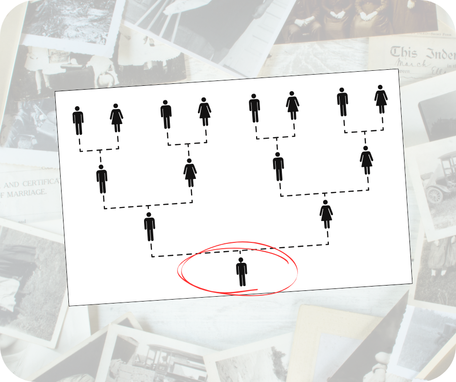 Making a family tree starts with you