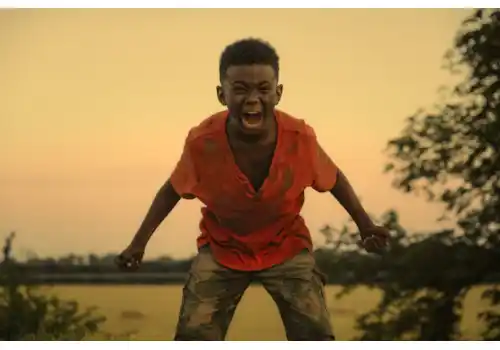 THE-LAST-TREE_SMW1662-0-90272.jpg THE-LAST-TREE_SMW1662-0-90272.jpg