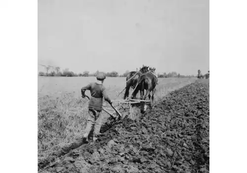 a117285-85562.jpg a117285-85562.jpg