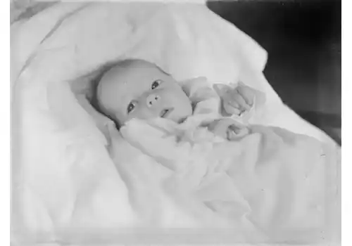 auckland-museum-36832.jpg auckland-museum-36832.jpg