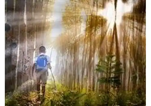 boy-18001.jpg boy-18001.jpg