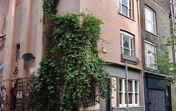 copyright-The-Gentle-Author-88173.jpg copyright-The-Gentle-Author-88173.jpg