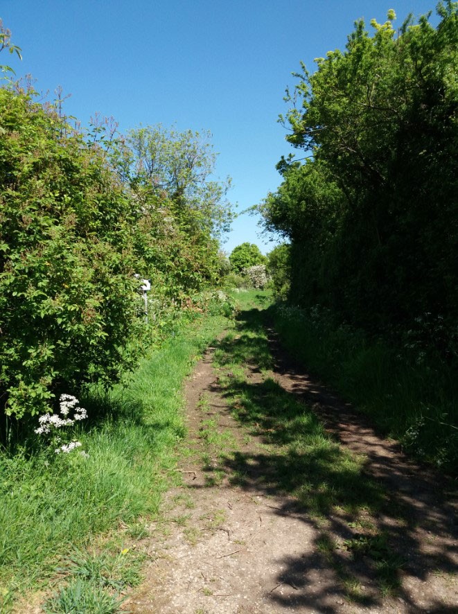 Cow Lane #StoryOfOurStreet