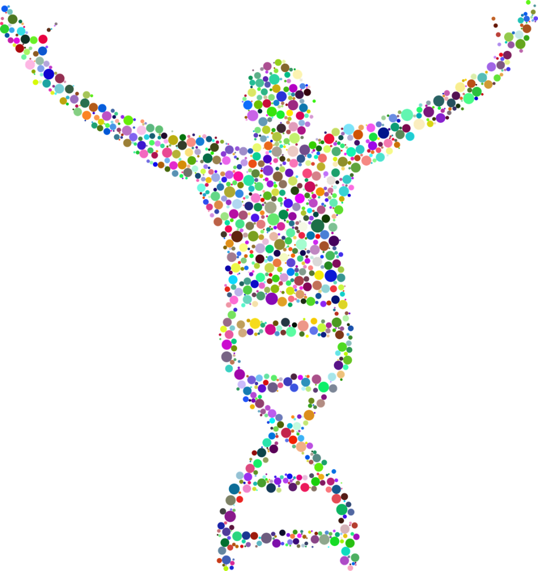 dna-2789567_1280-51706.png