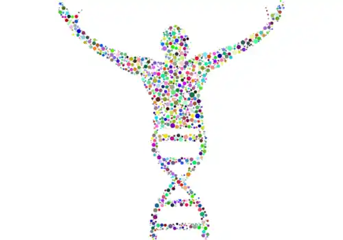 dna-2789567_1280-51706.png dna-2789567_1280-51706.png