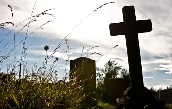 garry-knight-12190.jpg garry-knight-12190.jpg