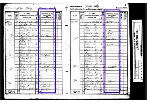 Your search for your ancestors' old Victorian occupations can begin with the census. Here are examples from the 1841 Census with the column for occupation details marked Your search for your ancestors' old Victorian occupations can begin with the census. Here are examples from the 1841 Census with the column for occupation details marked