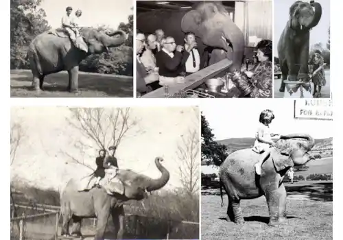 image002-07302.png image002-07302.png