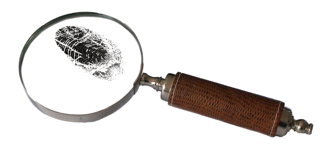 magnifying-Pixabay-81387.png