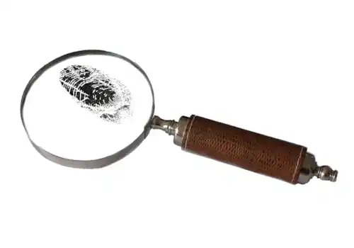 magnifying-Pixabay-81387.png magnifying-Pixabay-81387.png