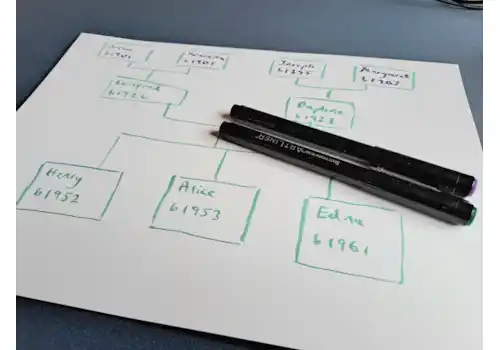 make a family tree with simple step by step guide for beginners create a simple family tree chart with paper and pens make a family tree with simple step by step guide for beginners create a simple family tree chart with paper and pens