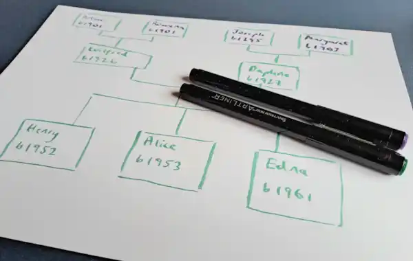 make a family tree with simple step by step guide for beginners create a simple family tree chart with paper and pens make a family tree with simple step by step guide for beginners create a simple family tree chart with paper and pens