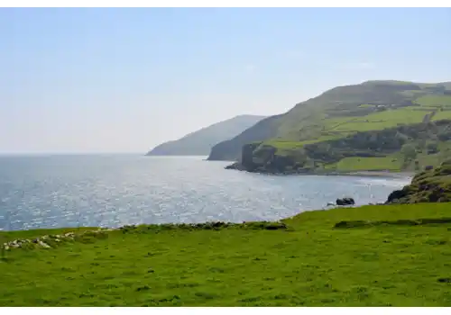 nature-2380361_1920-52202.jpg nature-2380361_1920-52202.jpg