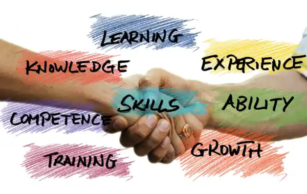 pixabay-skills-3371153_1920-05710.jpg pixabay-skills-3371153_1920-05710.jpg