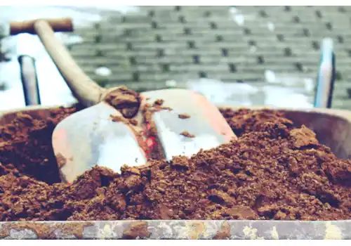 pokes-fun-at-1164459-55190.jpg pokes-fun-at-1164459-55190.jpg