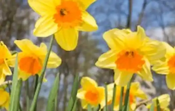 shutterstock_93447508-200x300-00112.jpg shutterstock_93447508-200x300-00112.jpg