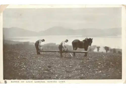 t-96242.jpg t-96242.jpg